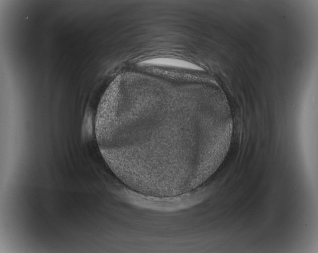 X0000086260042200704191913