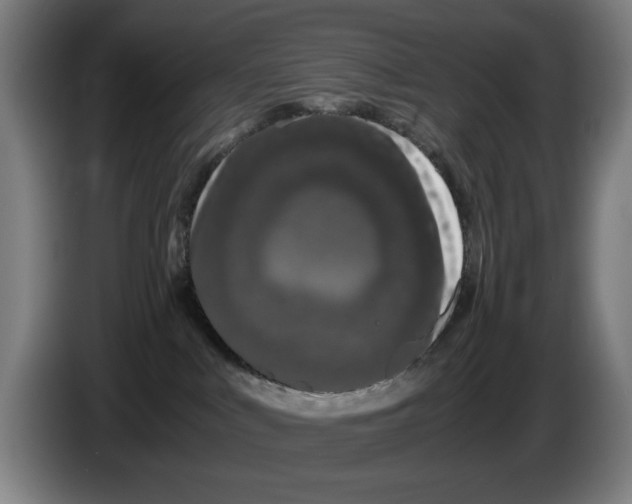 X0000086260043200704191913