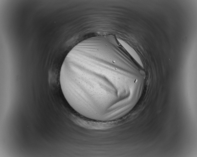 X0000086260044200704191913
