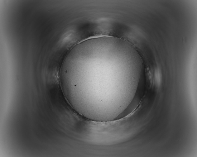 X0000086260045200704191913