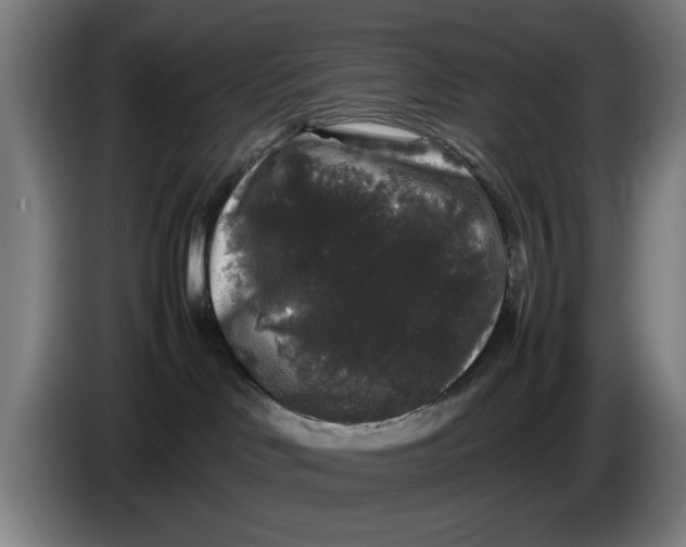 X0000086260046200704191913