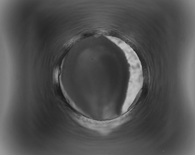 X0000086260047200704191913