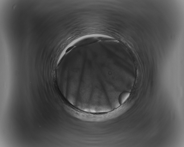 X0000086260048200704191913