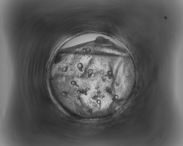 X0000086260049200704191912