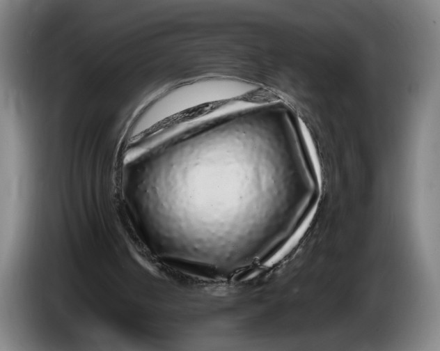X0000086260050200704191912