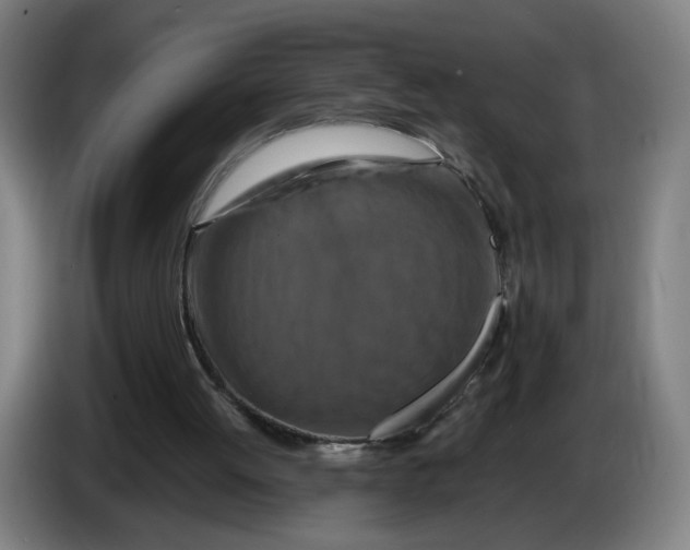 X0000086260052200704191912