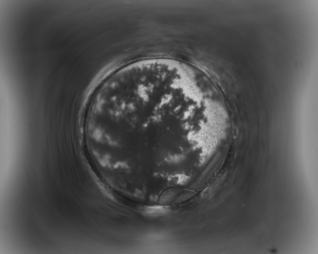 X0000086260053200704191912