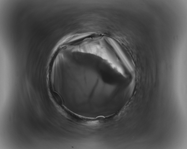 X0000086260054200704191912