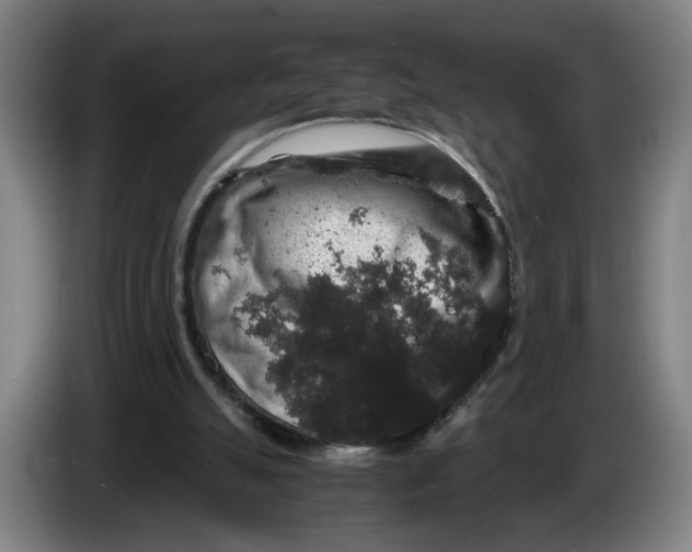 X0000086260055200704191912