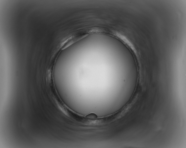 X0000086260057200704191912