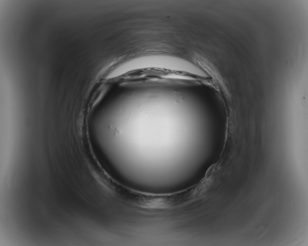 X0000086260058200704191912