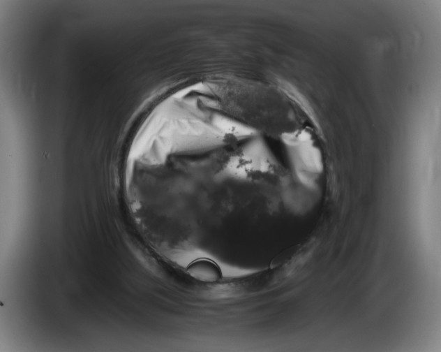 X0000086260059200704191912