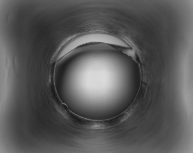 X0000086260060200704191912