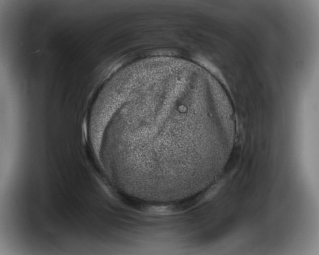 X0000086260061200704191912