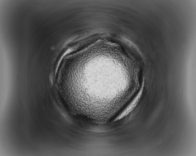 X0000086260062200704191912