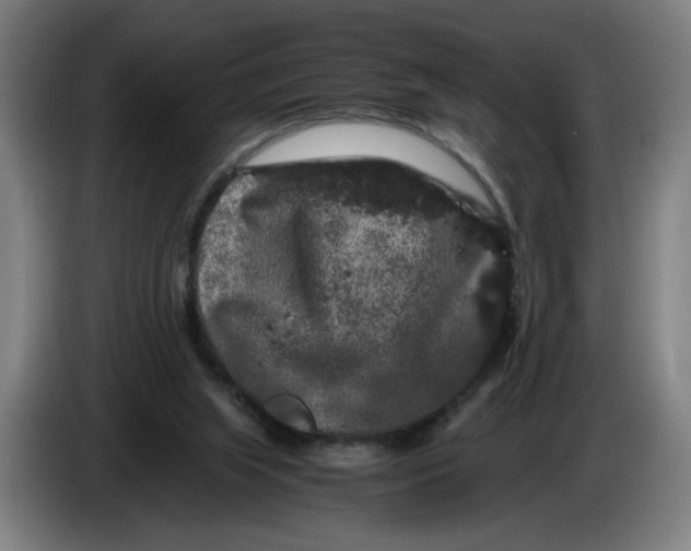 X0000086260063200704191912