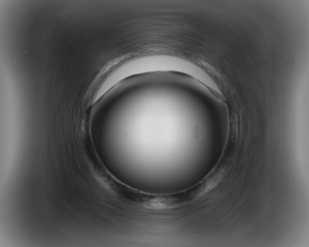 X0000086260064200704191912