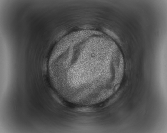 X0000086260065200704191912