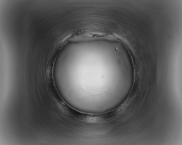 X0000086260066200704191912