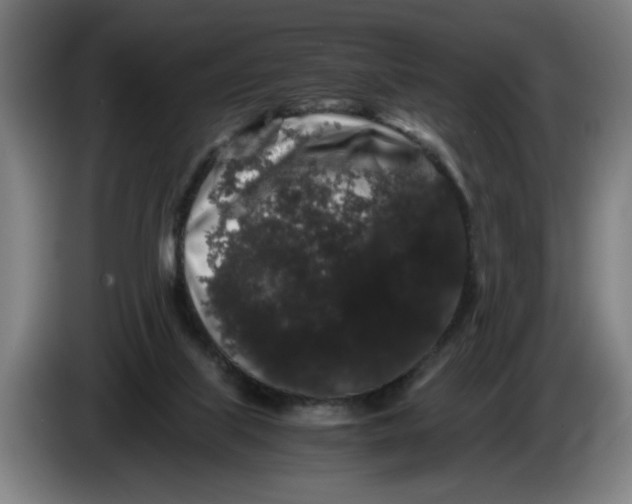 X0000086260067200704191912