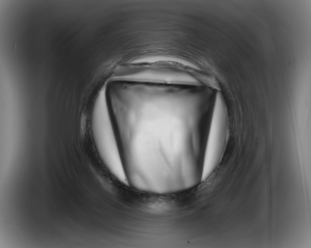 X0000086260070200704191912