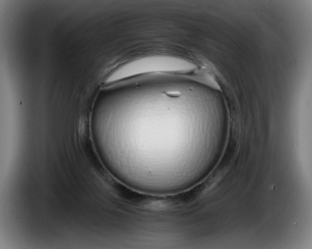 X0000086260071200704191912