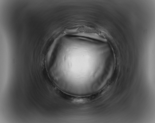 X0000086260073200704191912