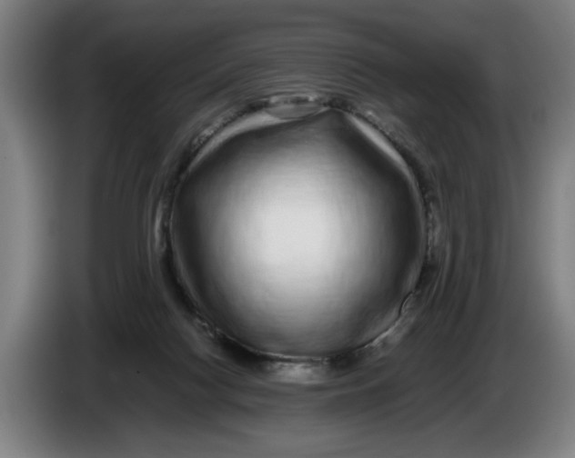 X0000086260074200704191912