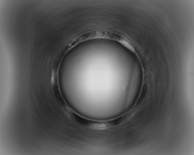 X0000086260075200704191912