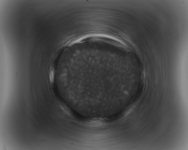 X0000086260076200704191912