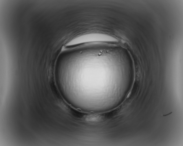 X0000086260077200704191912