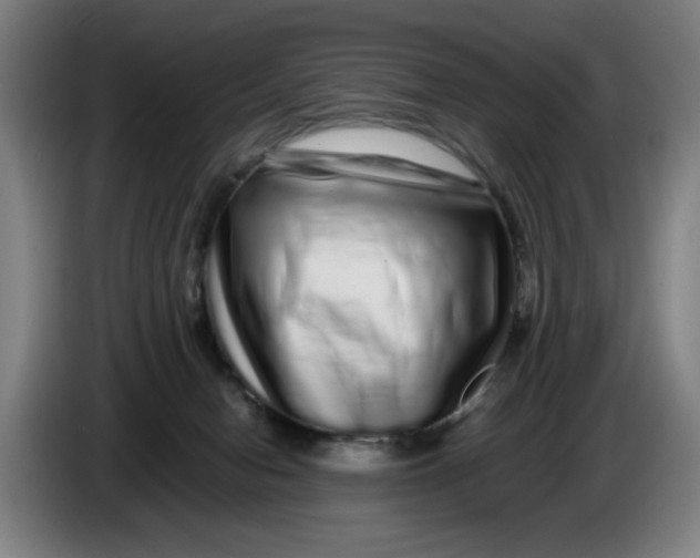 X0000086260078200704191912
