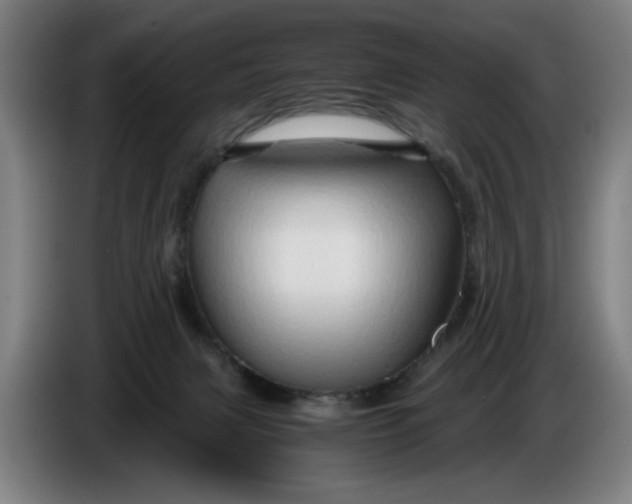 X0000086260079200704191912