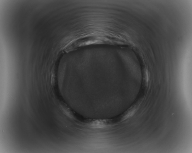 X0000086260080200704191912