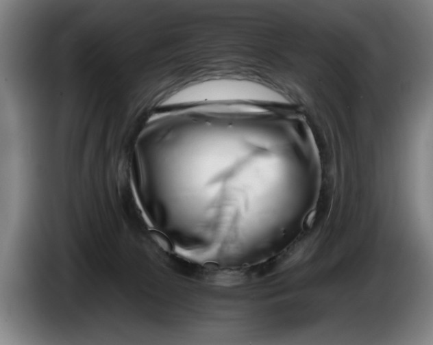 X0000086260081200704191912
