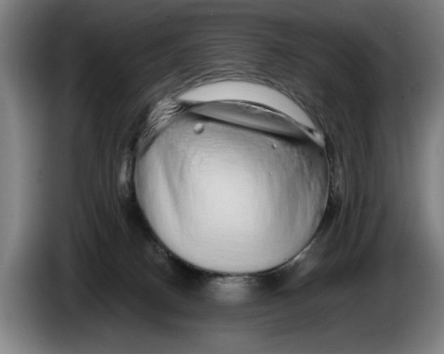 X0000086260082200704191912