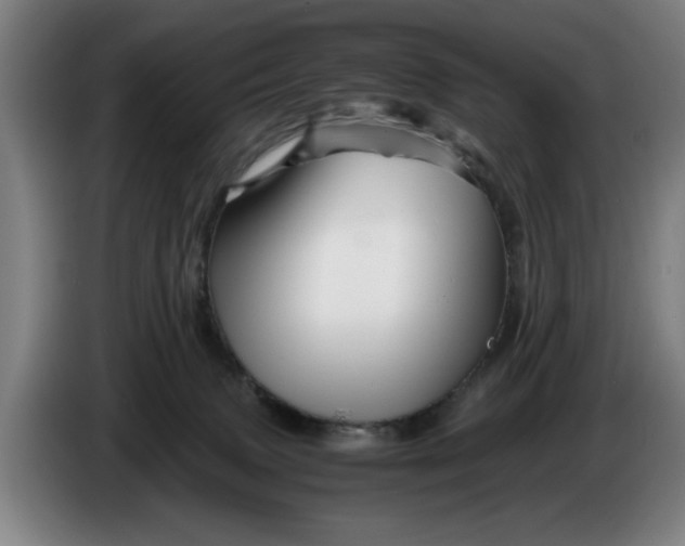 X0000086260083200704191912