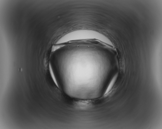 X0000086260086200704191913