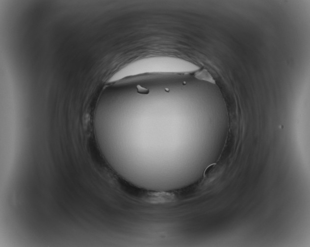 X0000086260087200704191913