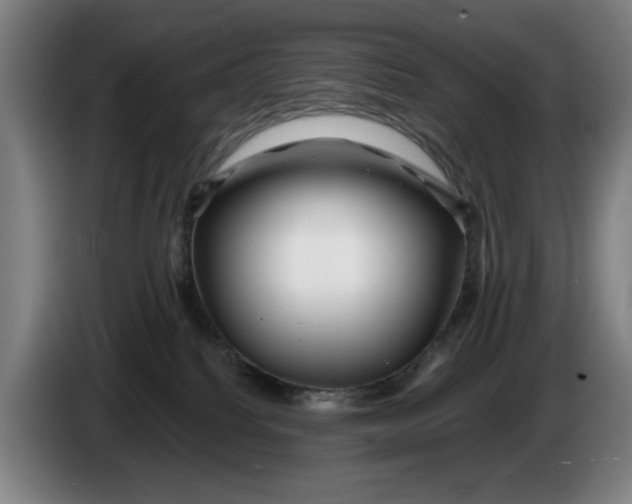 X0000086260088200704191913