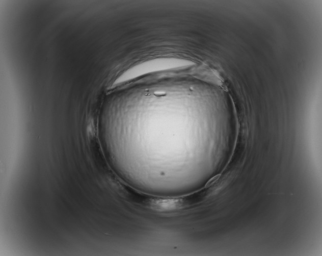 X0000086260089200704191913