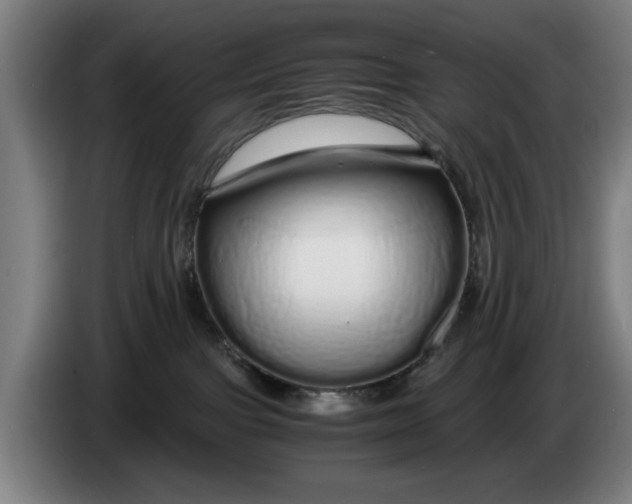 X0000086260091200704191913