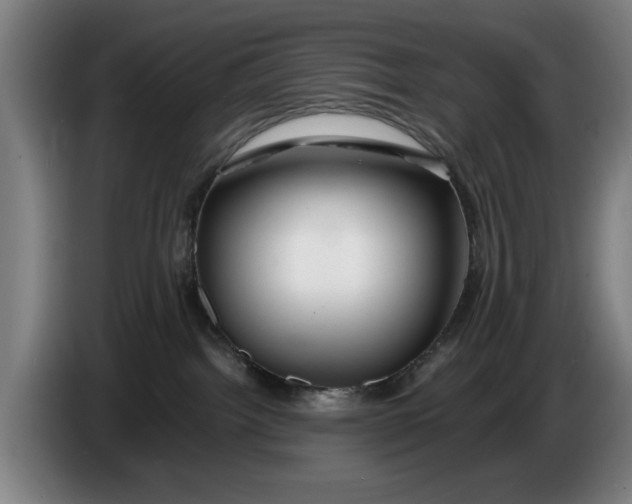 X0000086260092200704191913