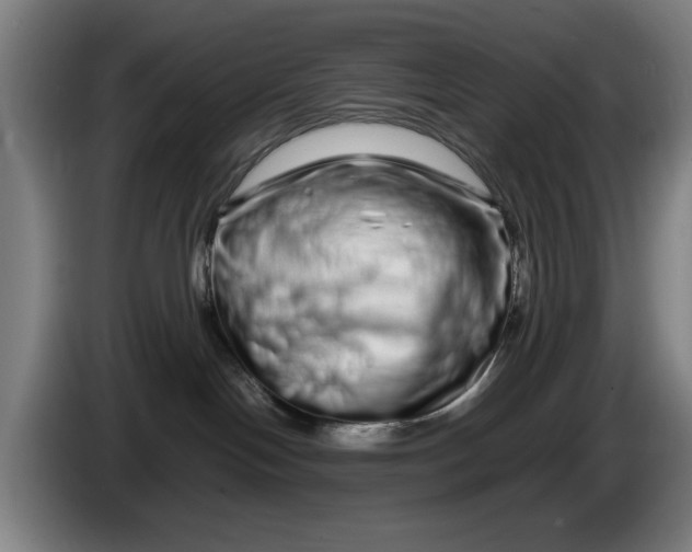 X0000086260094200704191913