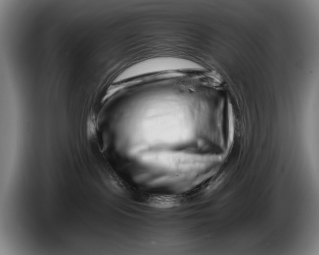 X0000086260095200704191913