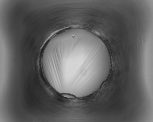 X0000086260098200704191912
