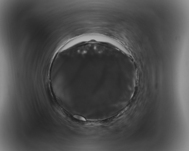 X0000086260099200704191912