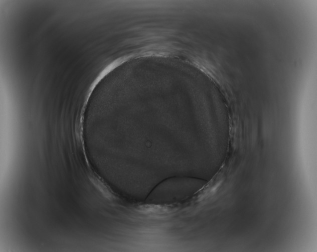 X0000086260100200704191912
