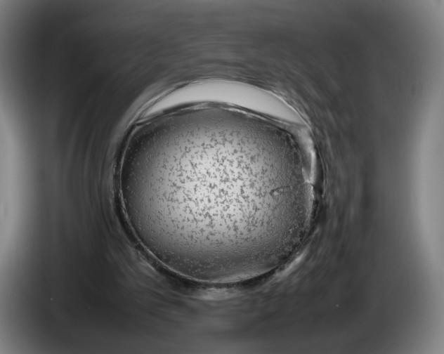 X0000086260101200704191912