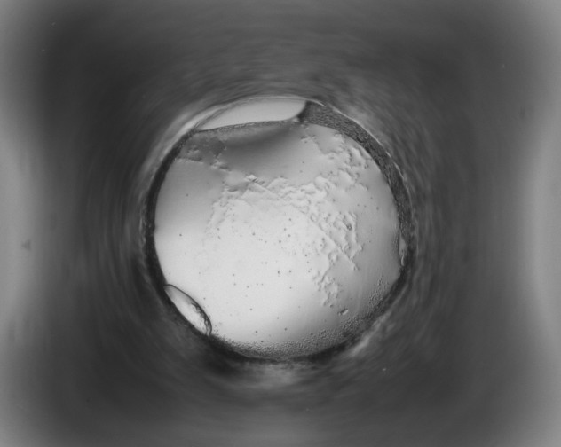 X0000086260103200704191912